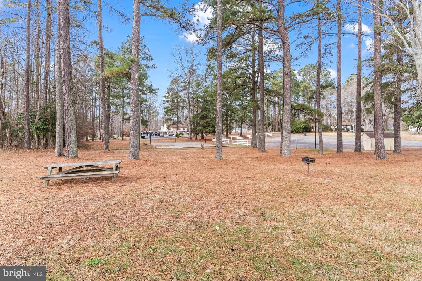 12110 Loblolly Road photo 31