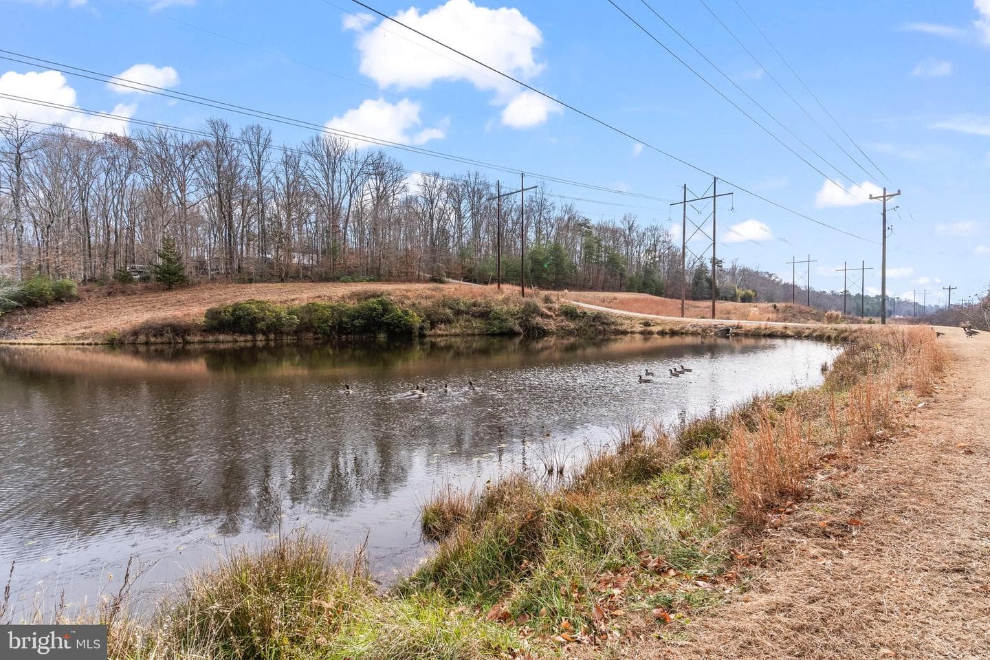 12110 Loblolly Road photo 36