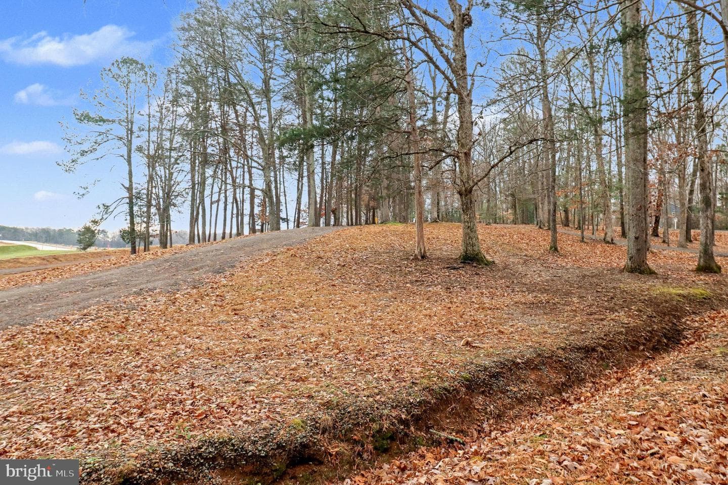 229 Estate Drive photo 29