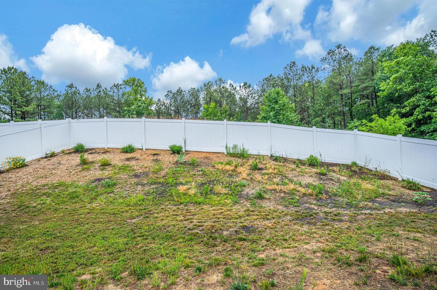 17086 Rollins Road photo 43