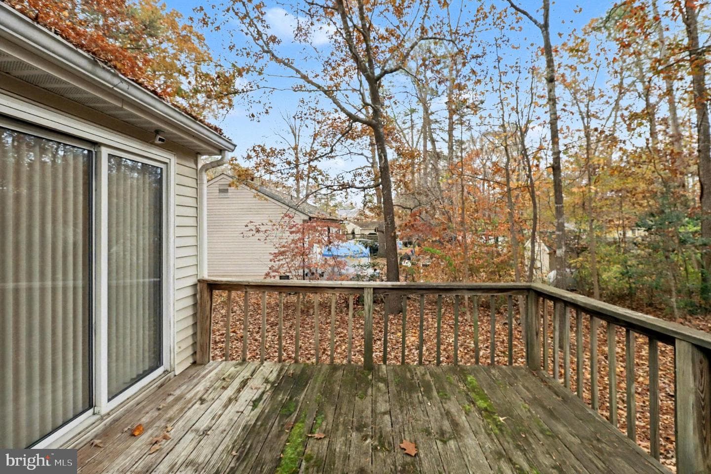 296 Devon Drive photo 19