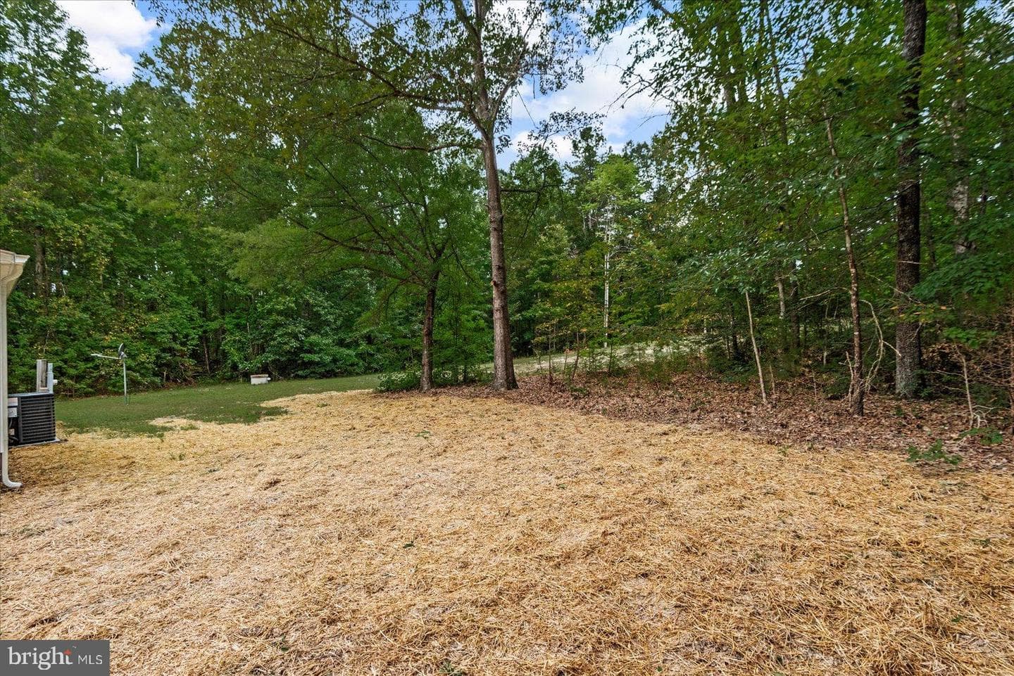 20105 Sparta Road photo 25