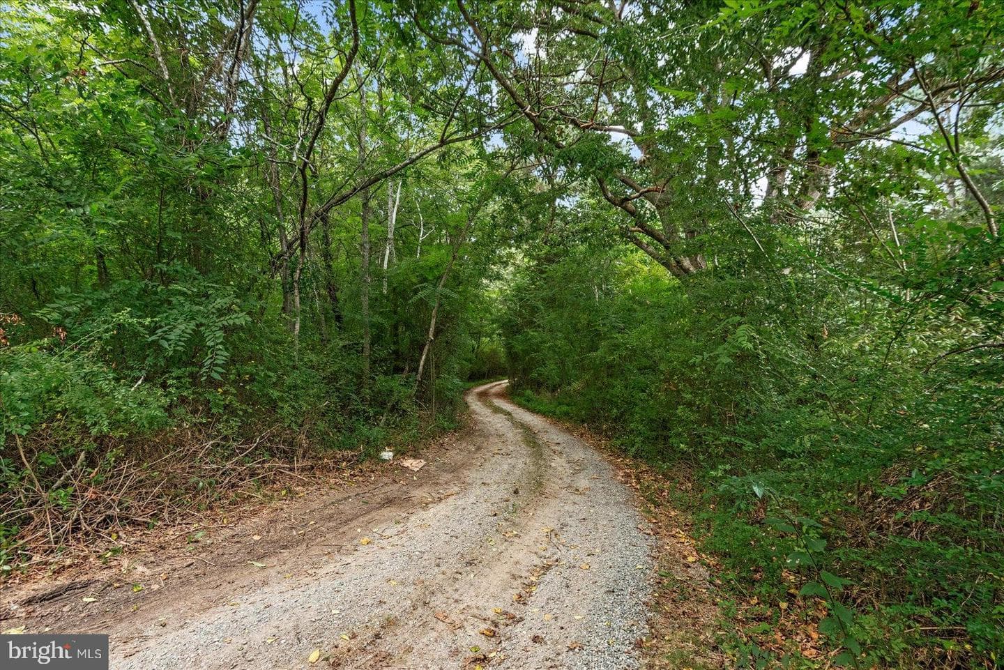 20105 Sparta Road photo 30