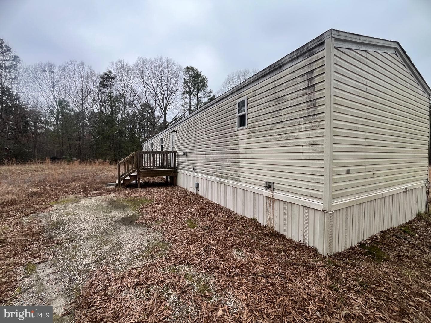 11498 Dry Bridge Road photo 2