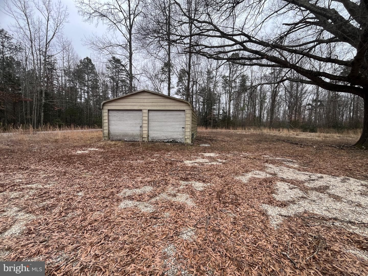 11498 Dry Bridge Road photo 3