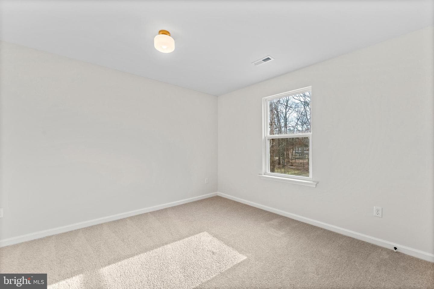 887 Campers Lane photo 27