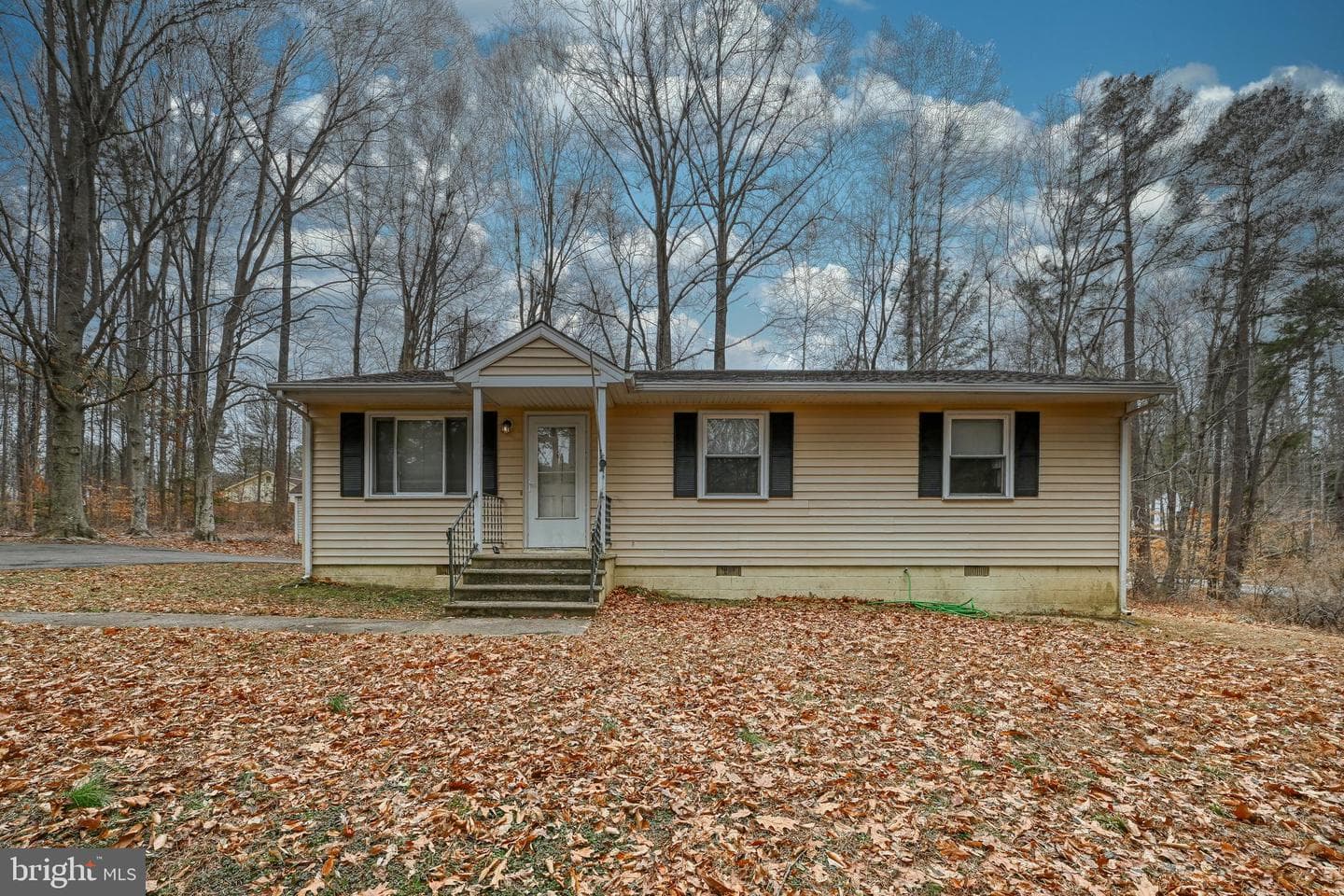 417 Lake Caroline Drive photo 4