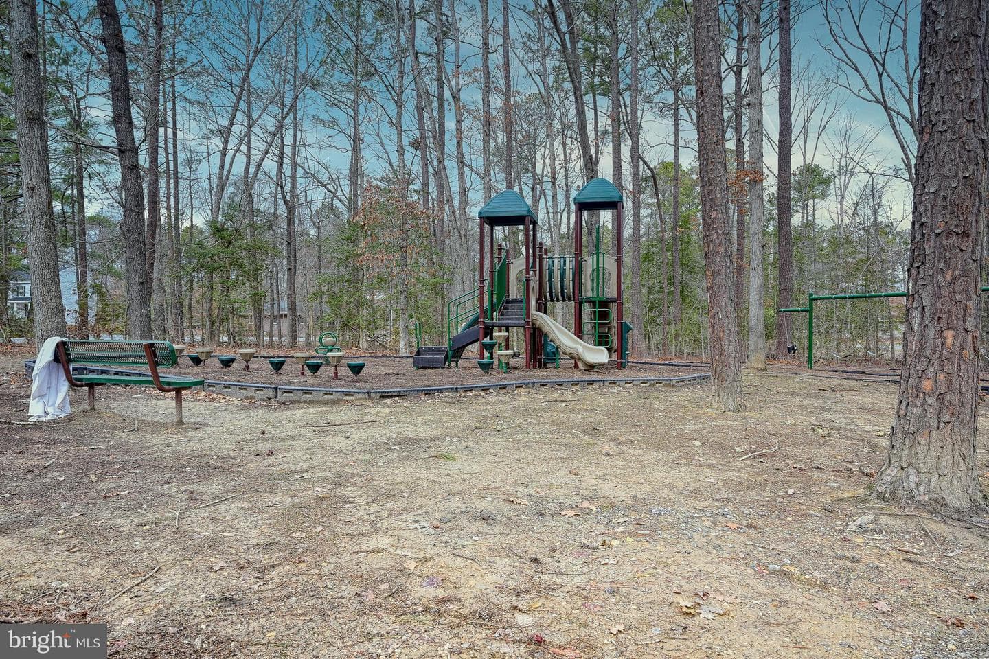 417 Lake Caroline Drive photo 73