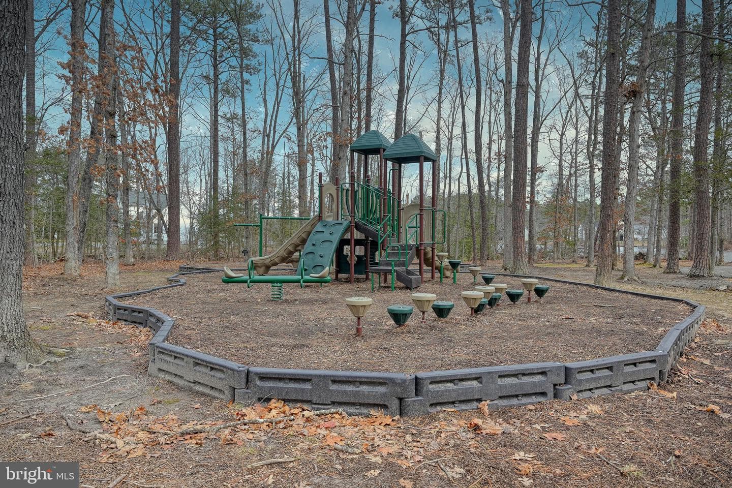 417 Lake Caroline Drive photo 74