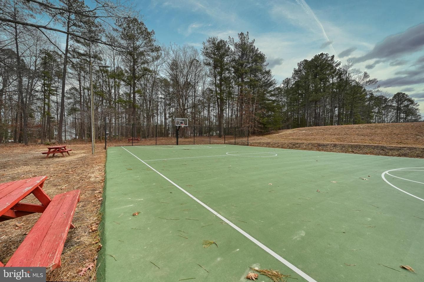 417 Lake Caroline Drive photo 84