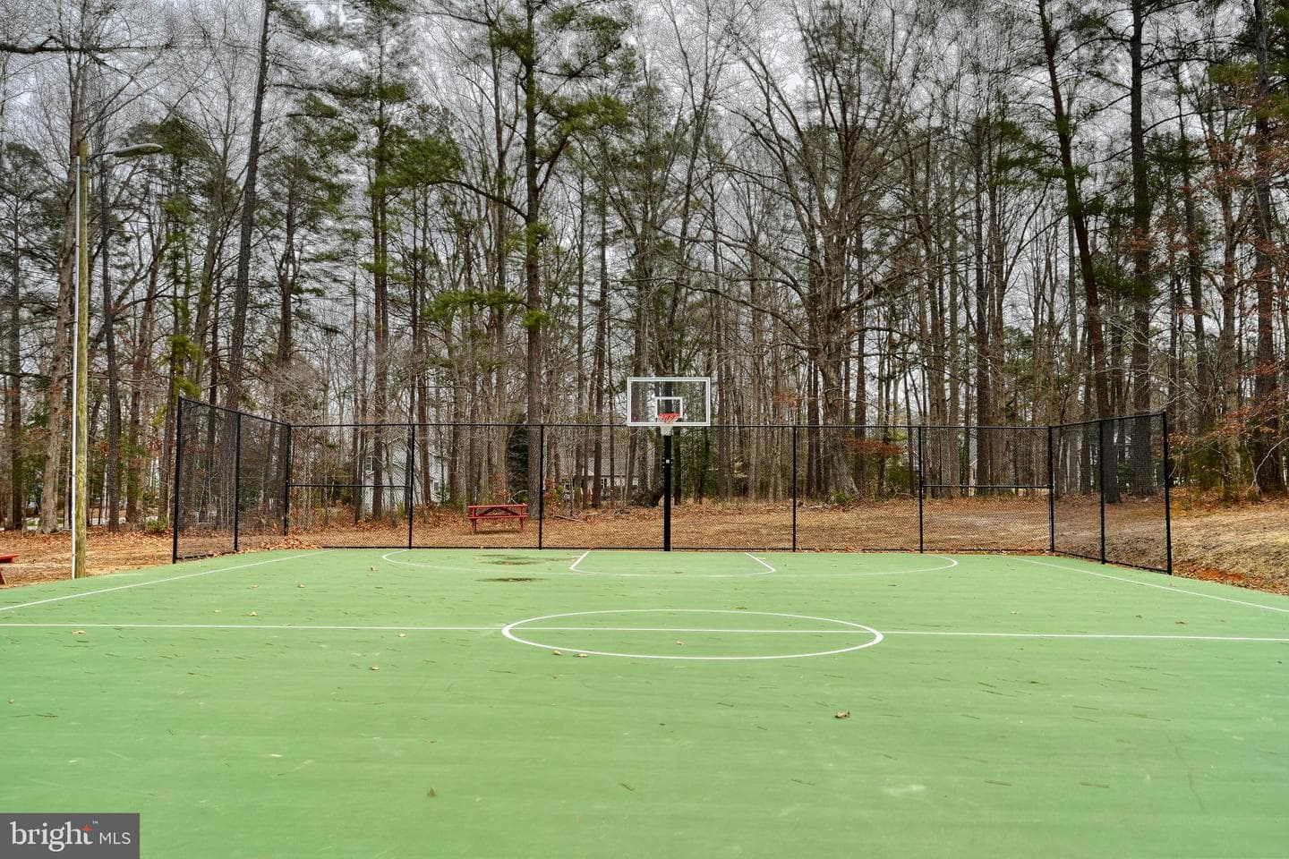 417 Lake Caroline Drive photo 87