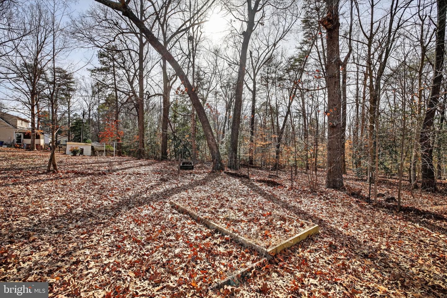 26236 Shannon Mill Drive photo 10