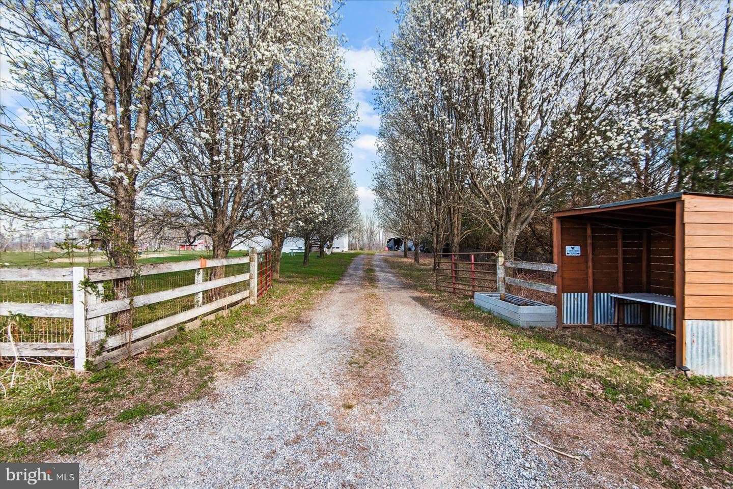 23165 Fork Bridge Road photo 38