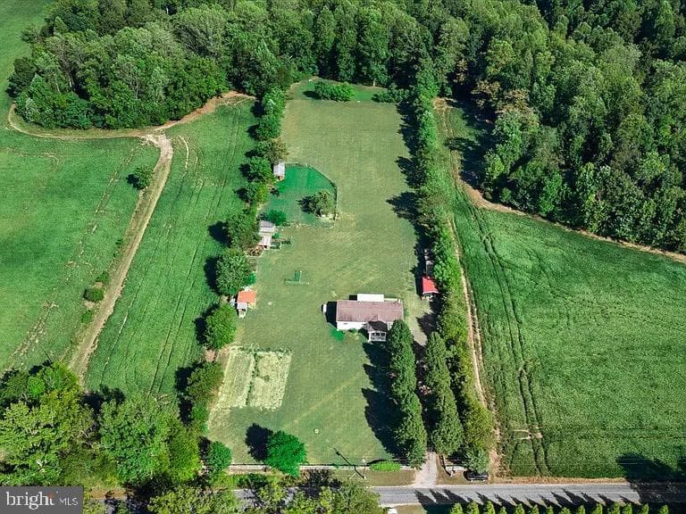 23165 Fork Bridge Road photo 47