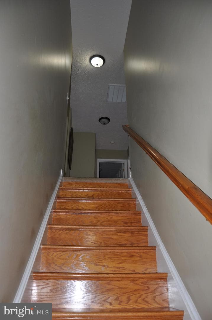 10621 Gallant Fox Way photo 37