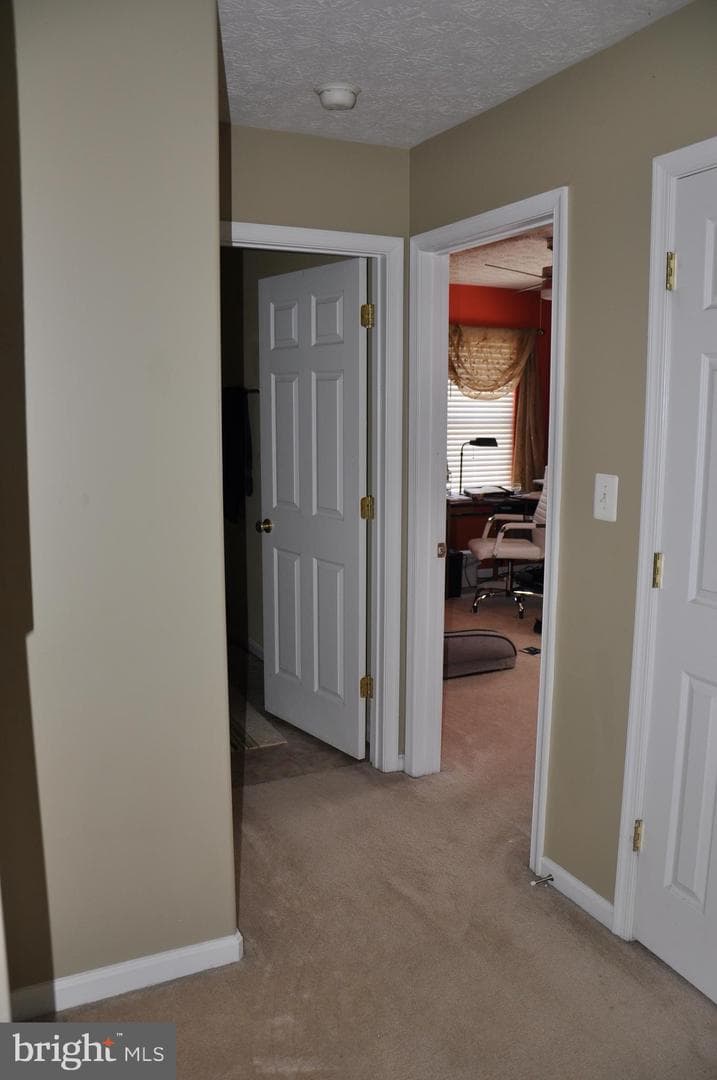 10621 Gallant Fox Way photo 38