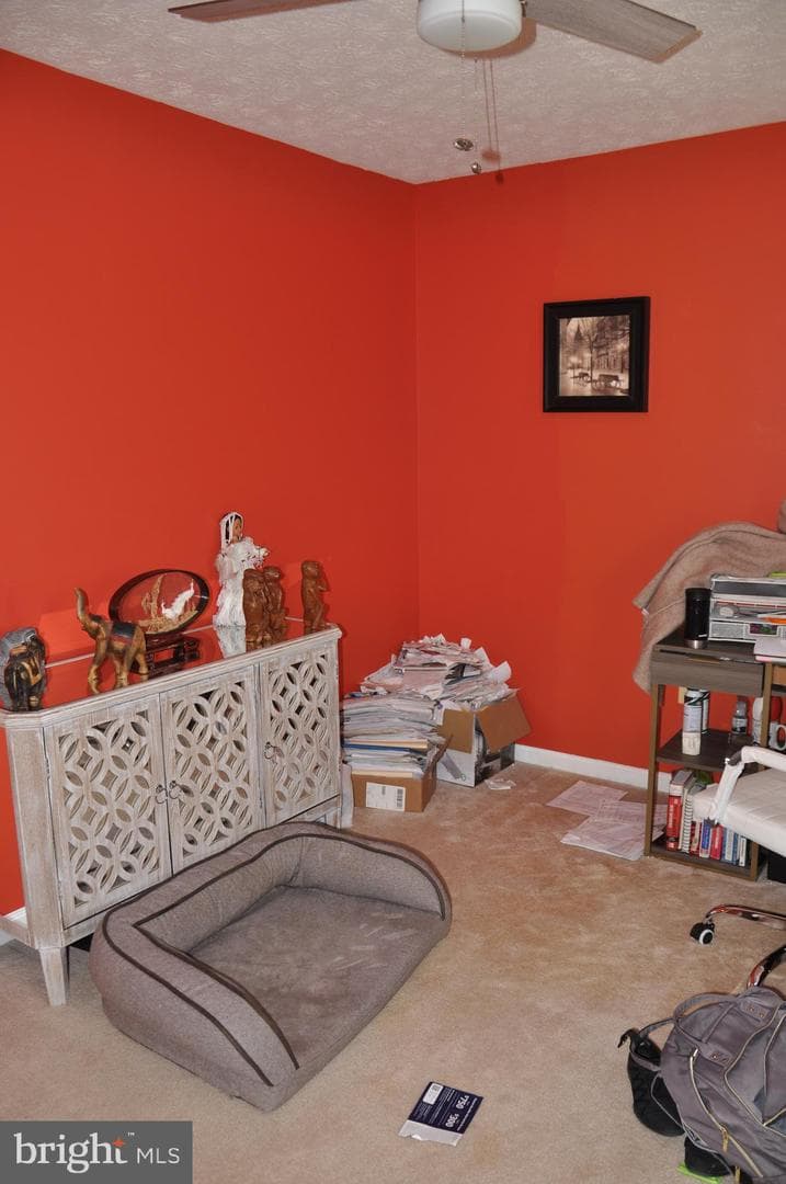 10621 Gallant Fox Way photo 44