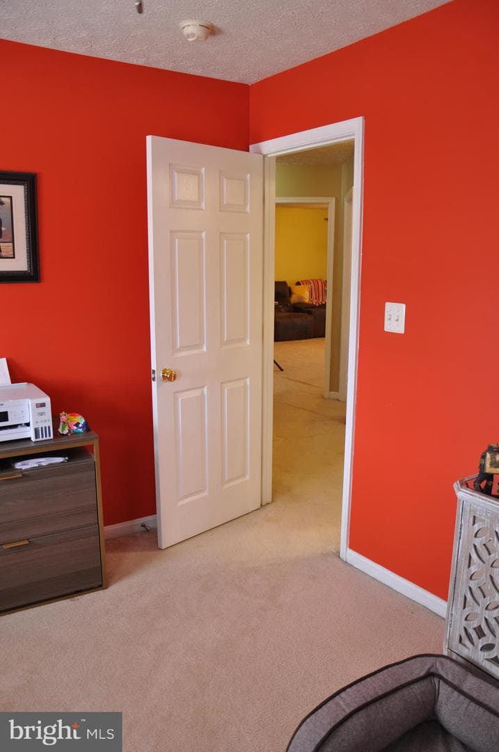 10621 Gallant Fox Way photo 45