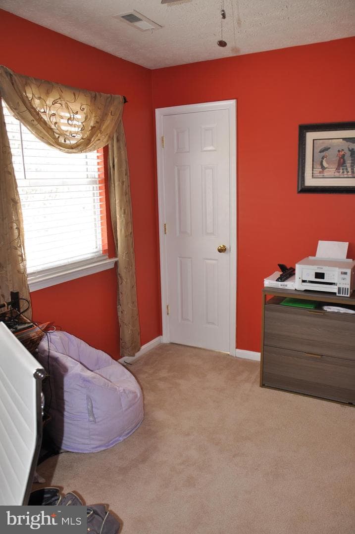 10621 Gallant Fox Way photo 46