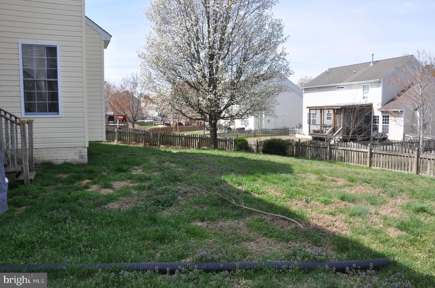 10621 Gallant Fox Way photo 9