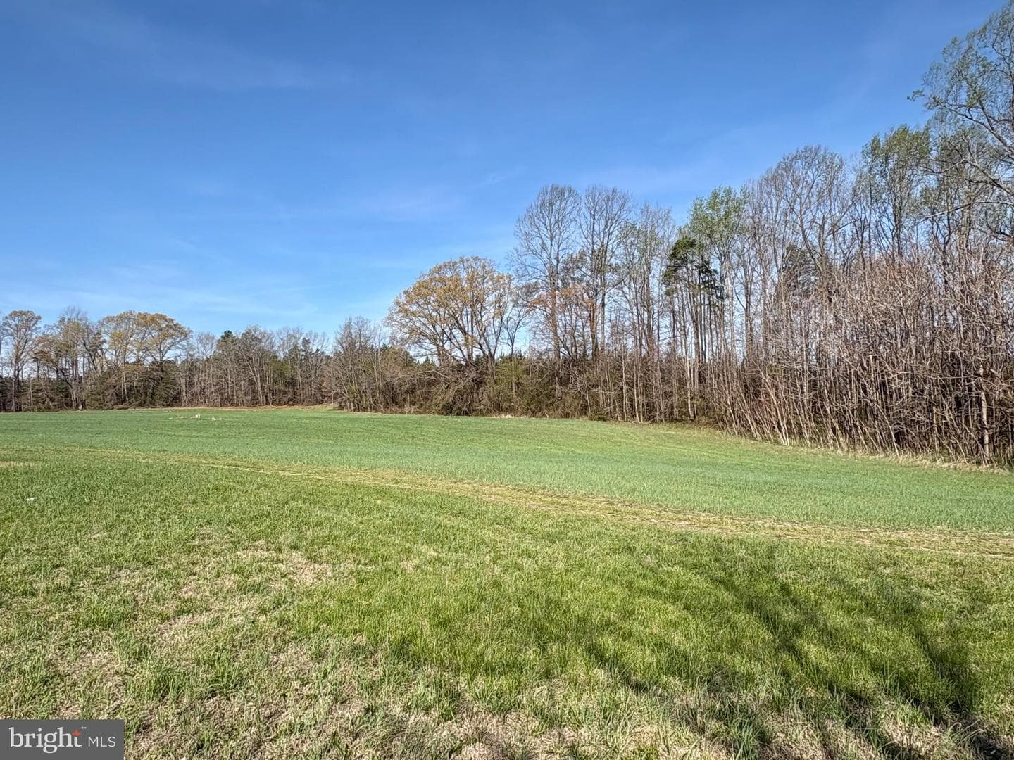 23205 Carneal Lane photo 4