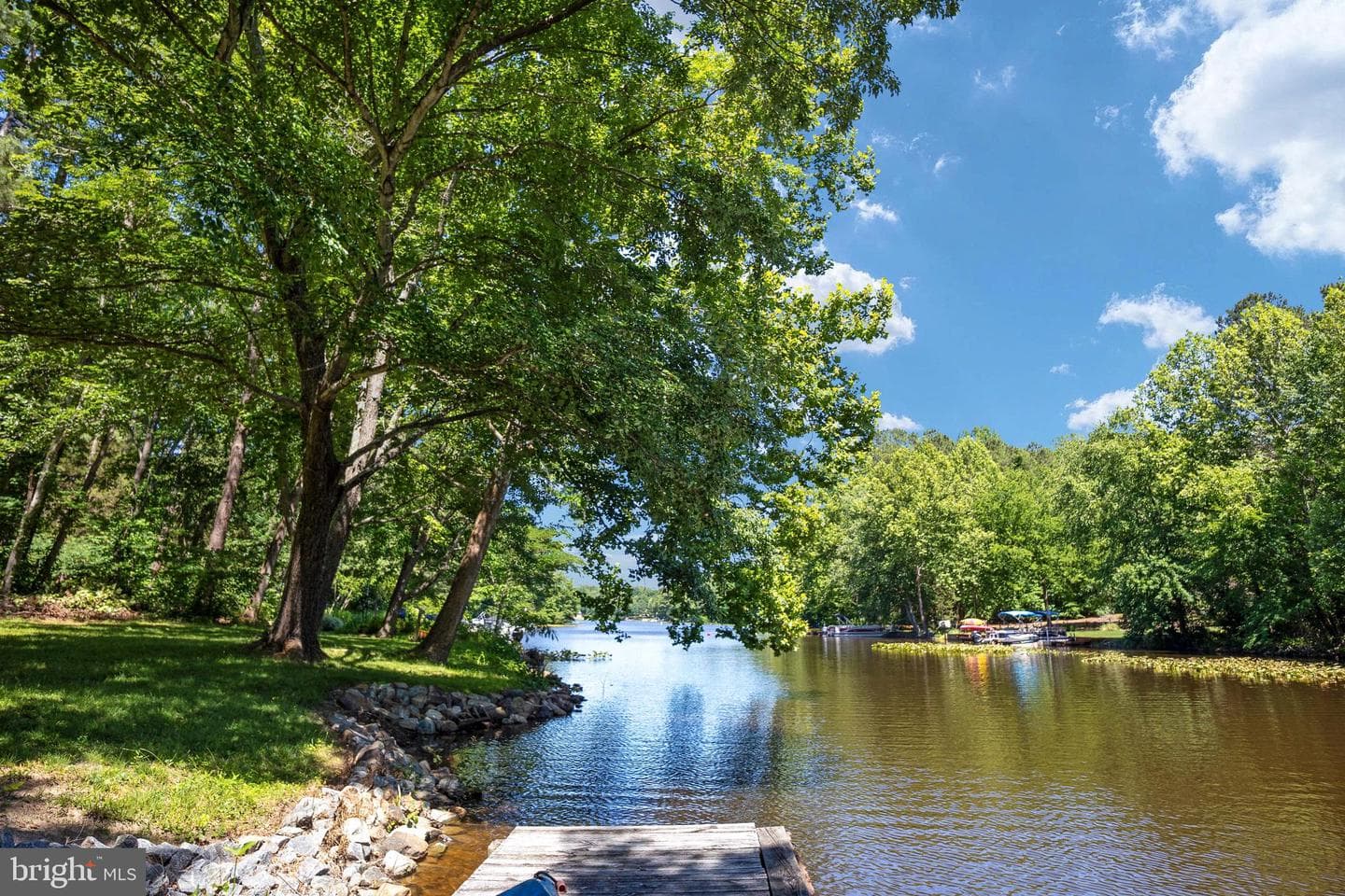 448 Lake Caroline Drive photo 4