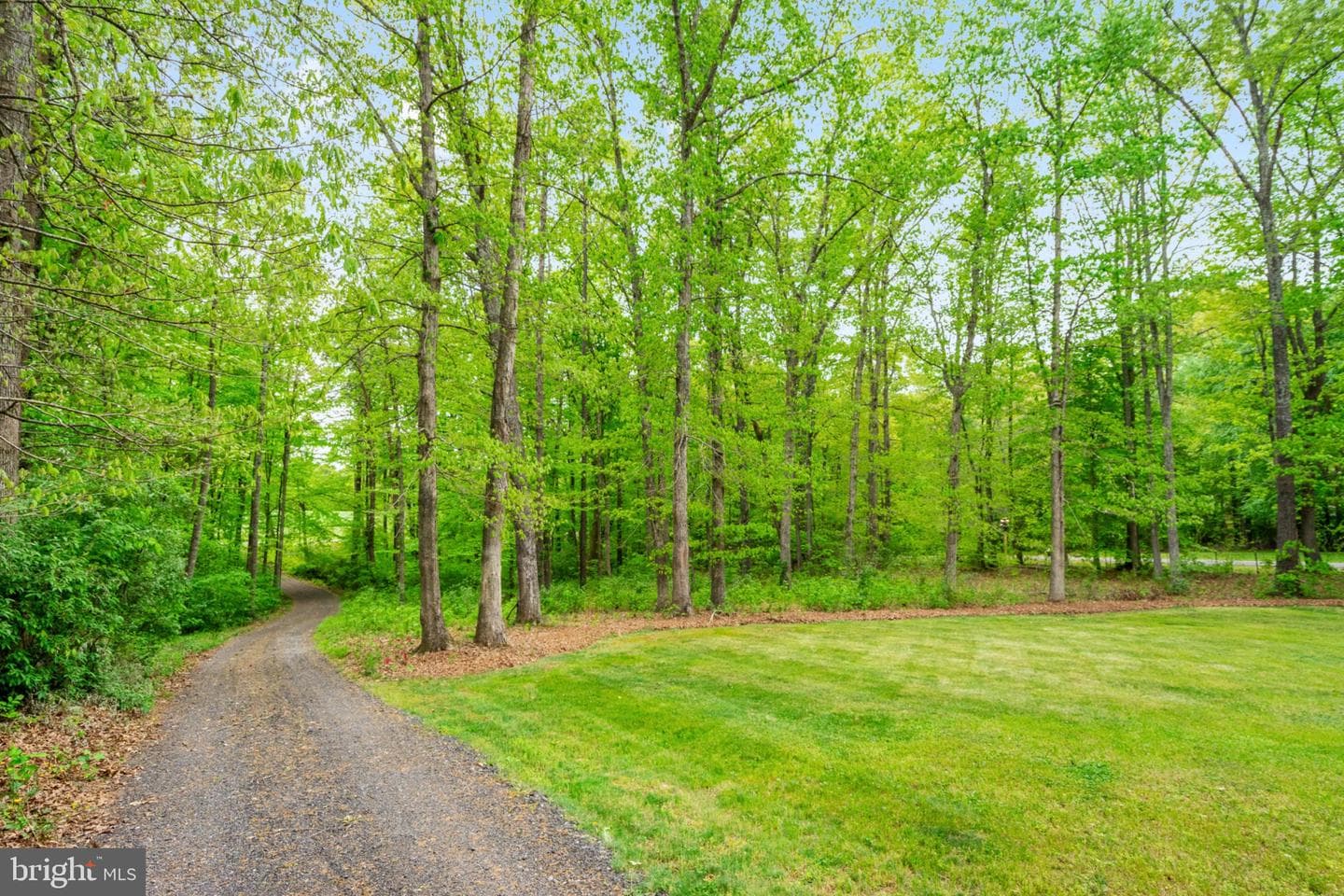 2319 Sizer Road photo 59