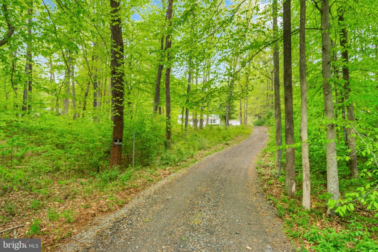 2319 Sizer Road photo 60