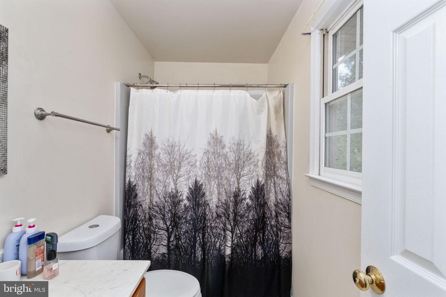 63 Bishop Cove photo 15