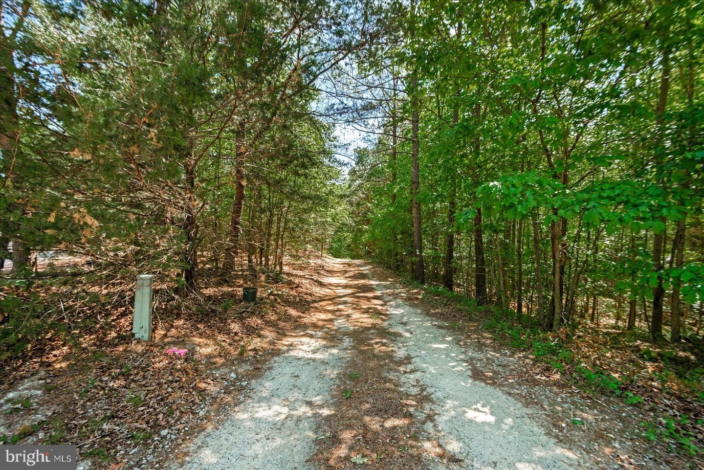 11024 Ladysmith Road photo 34