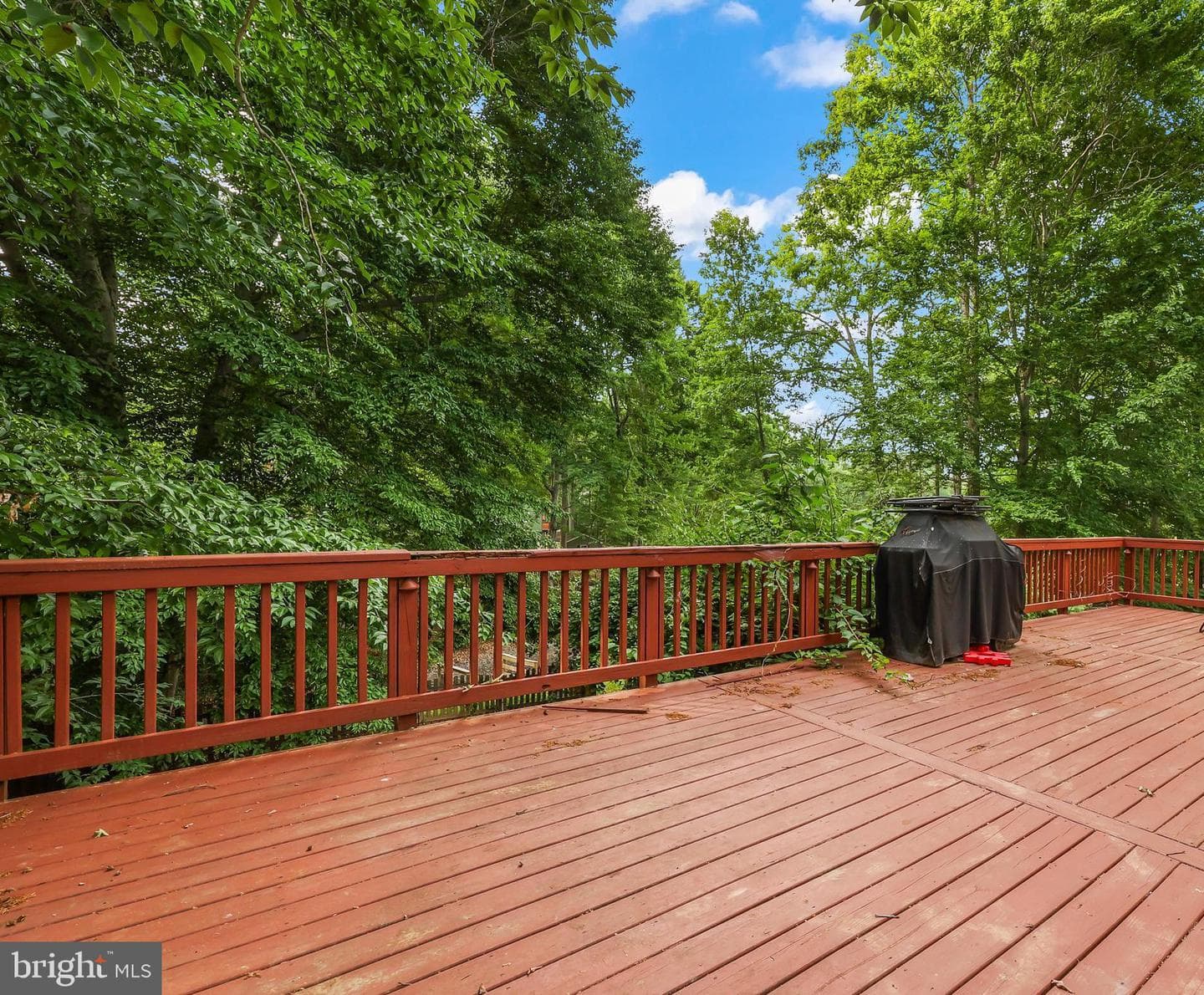 209 Estate Drive photo 28