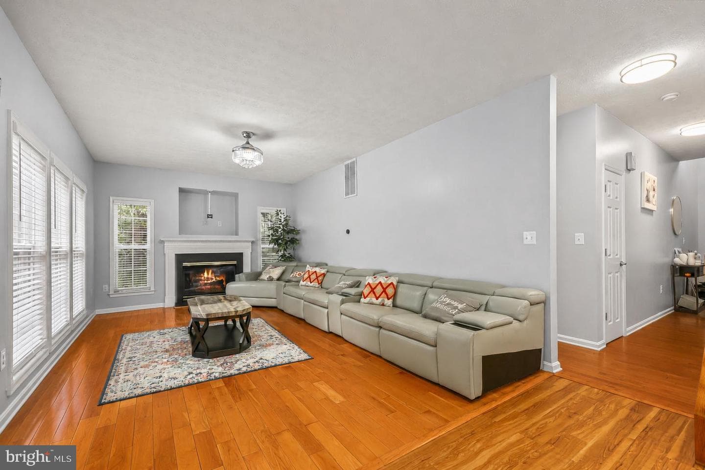 209 Estate Drive photo 9