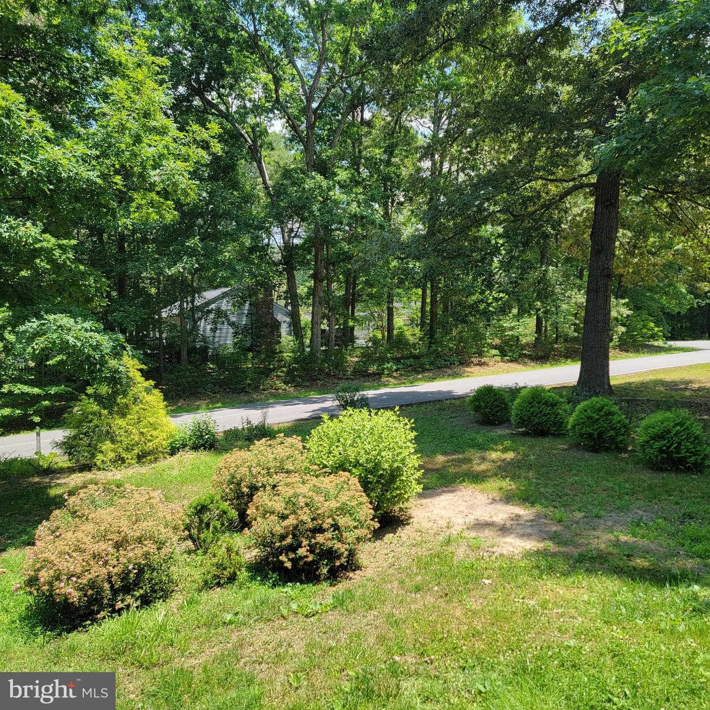66 Albertson Court photo 10