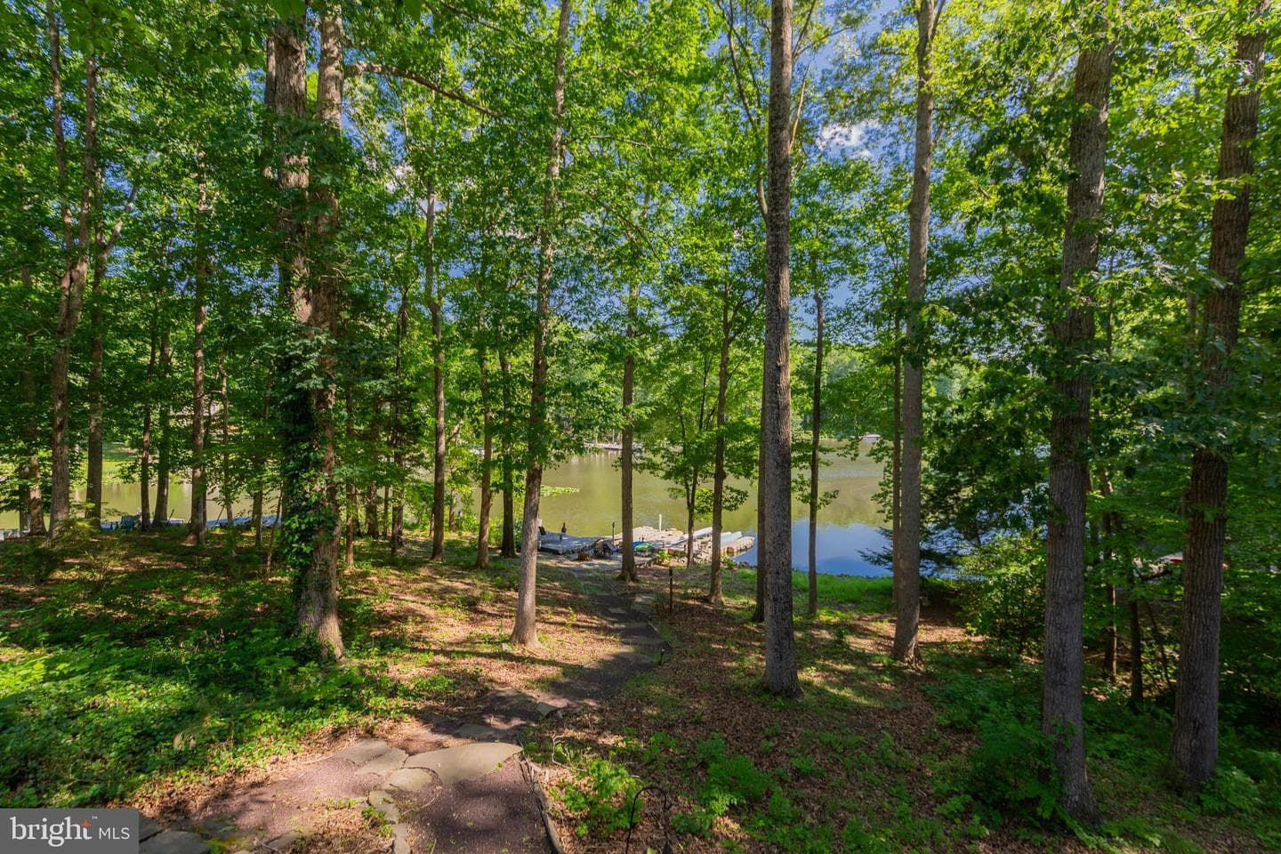 584 Lake Caroline Drive photo 58