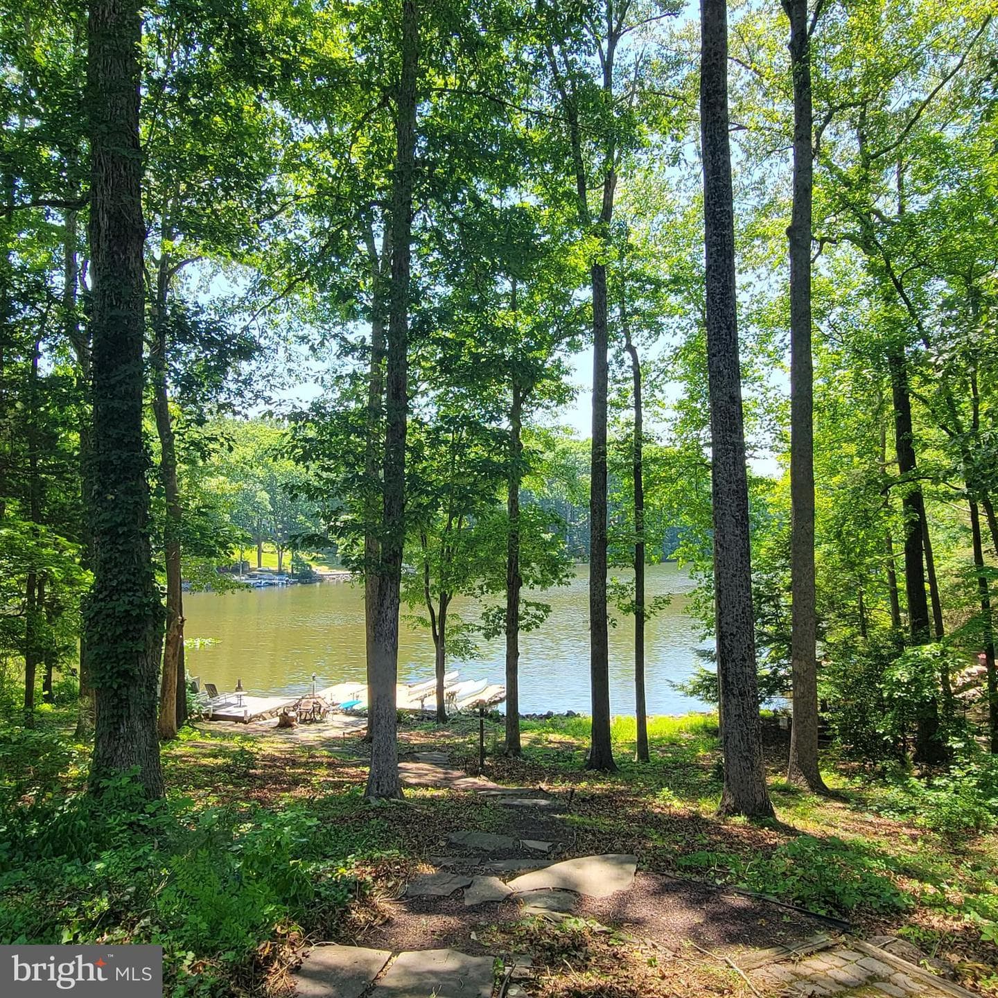 584 Lake Caroline Drive photo 64