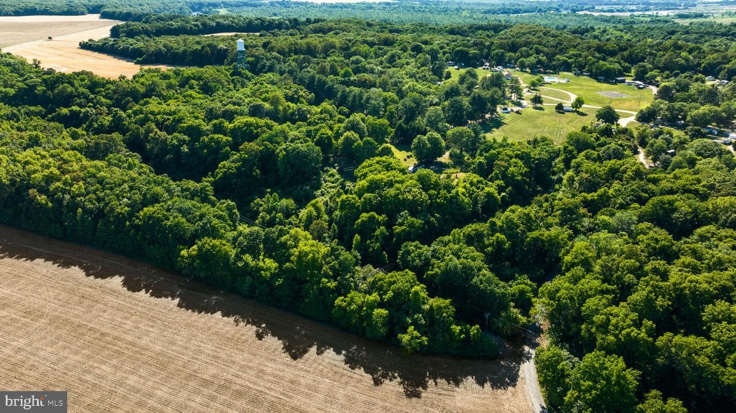 2349 Skinkers Neck Road photo 56