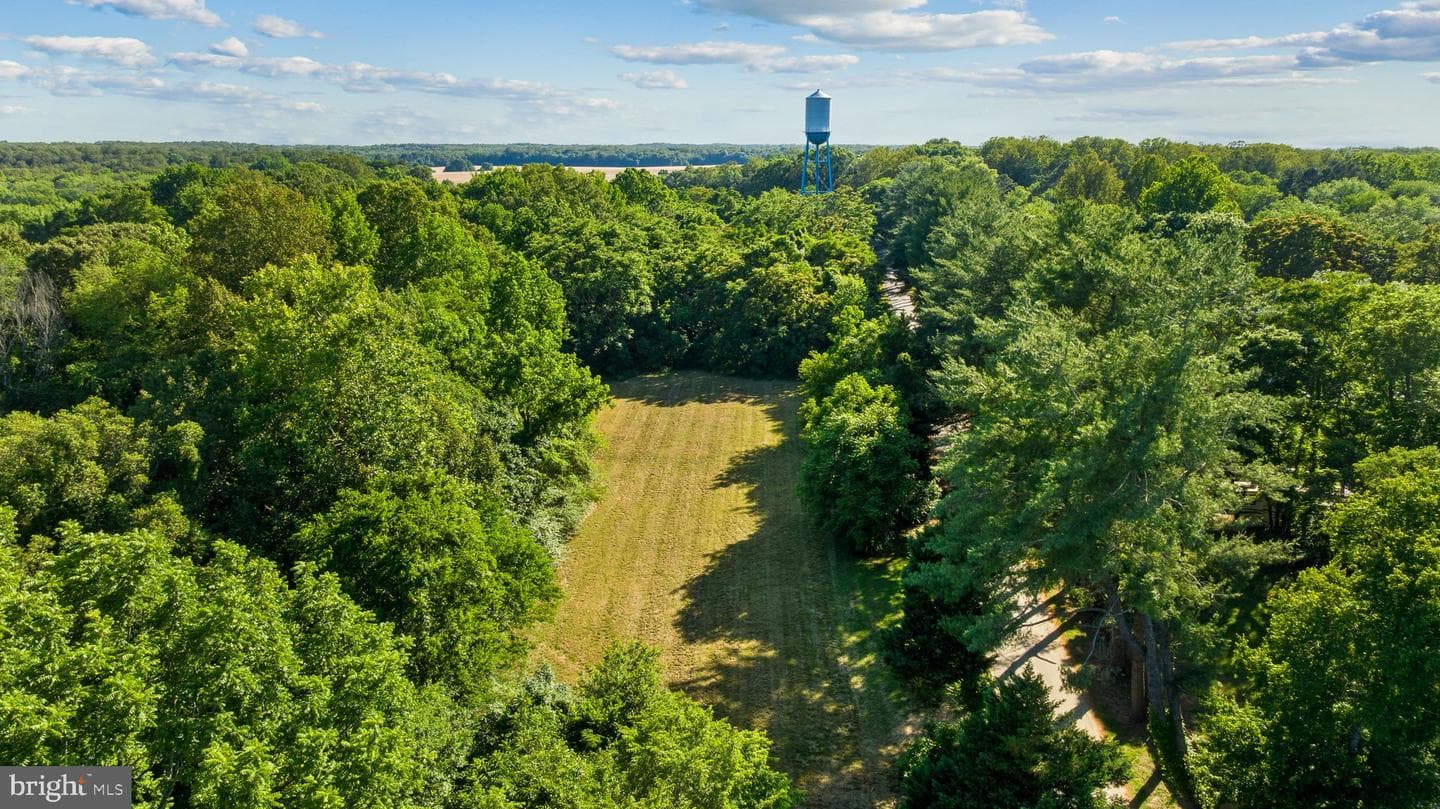 2349 Skinkers Neck Road photo 65