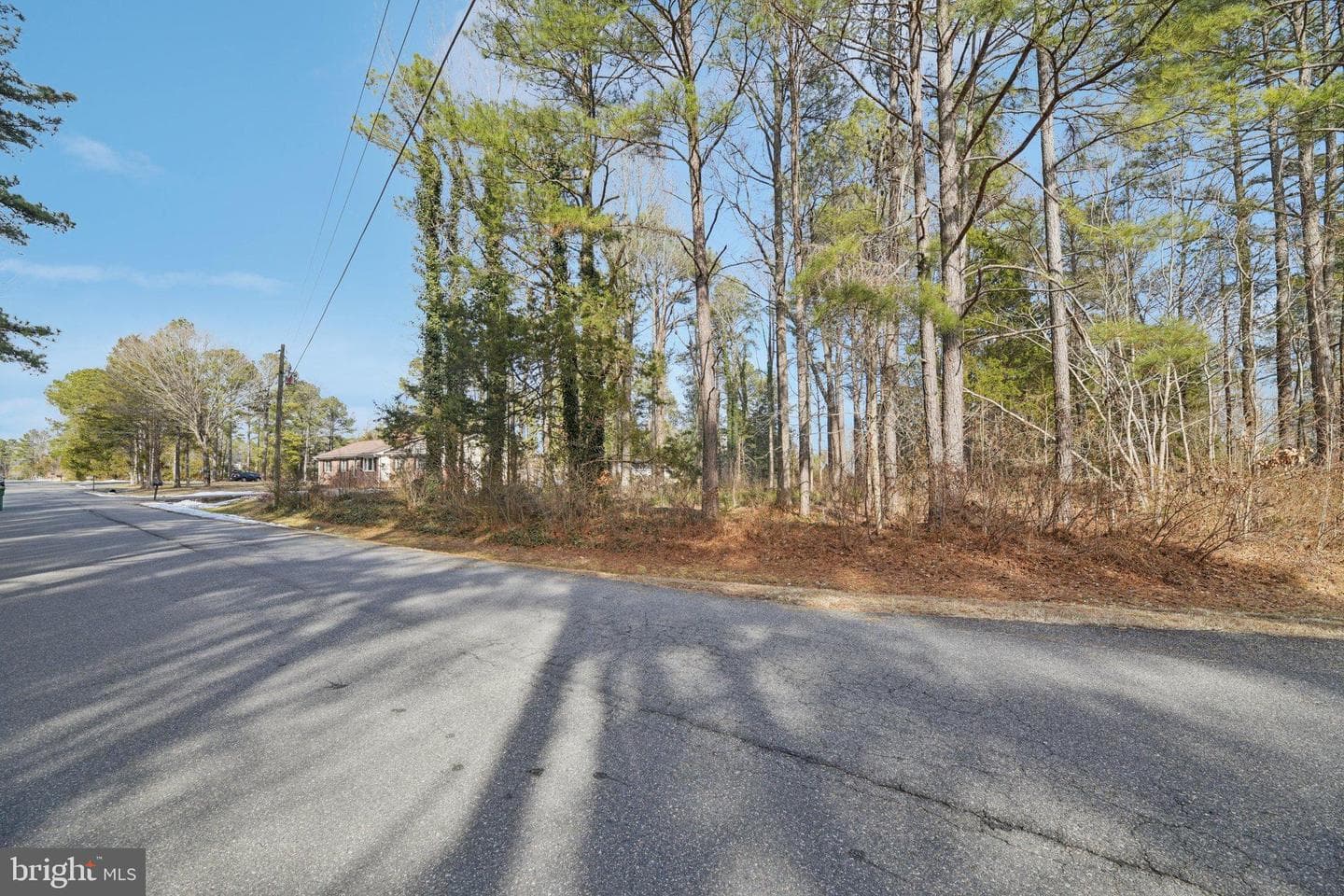 736 Annapolis Drive photo 6