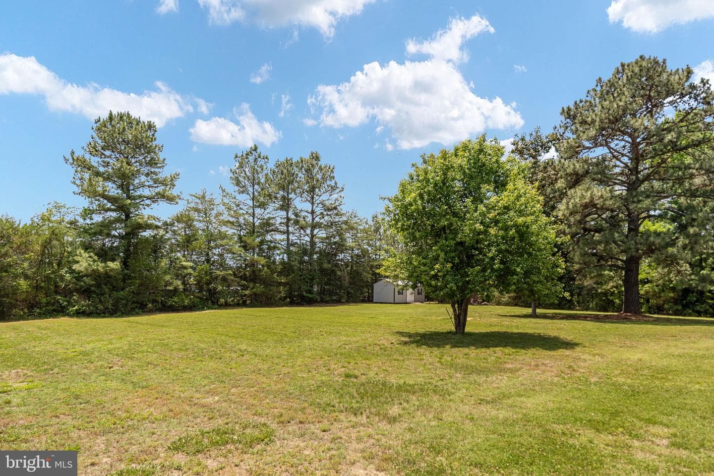 22088 Landora Bridge Road photo 115