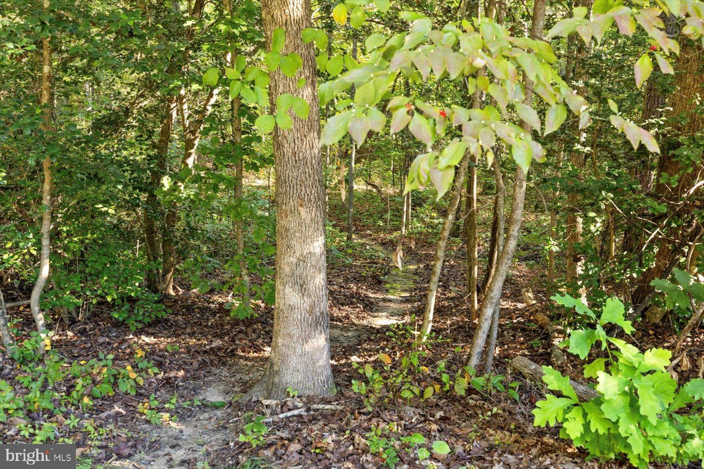 22617 Telegraph Road photo 44