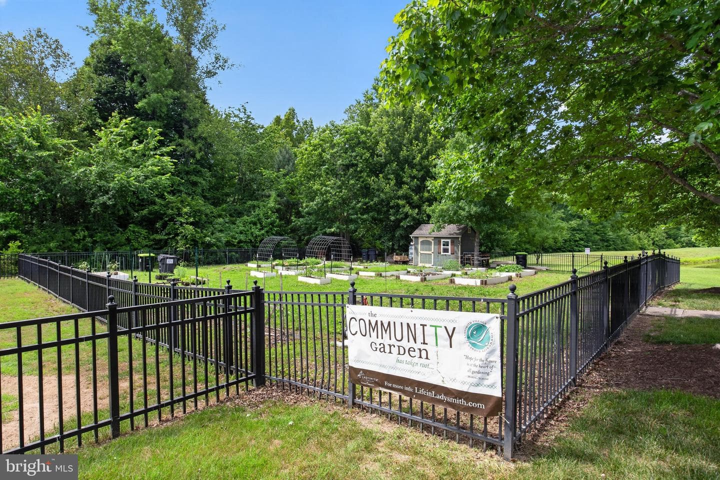 17266 Day Lily Drive photo 29