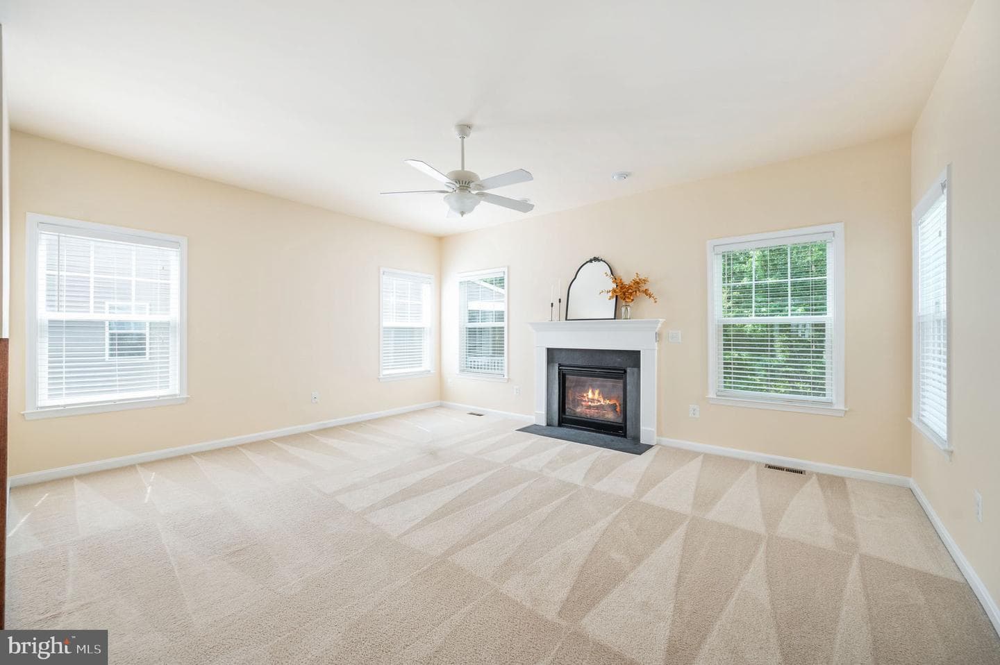 7323 Legacy Lane photo 17