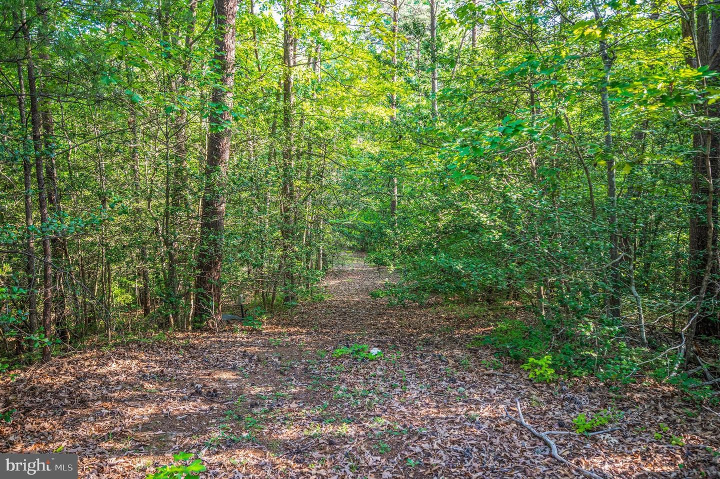 15295 Todd Ln photo 51