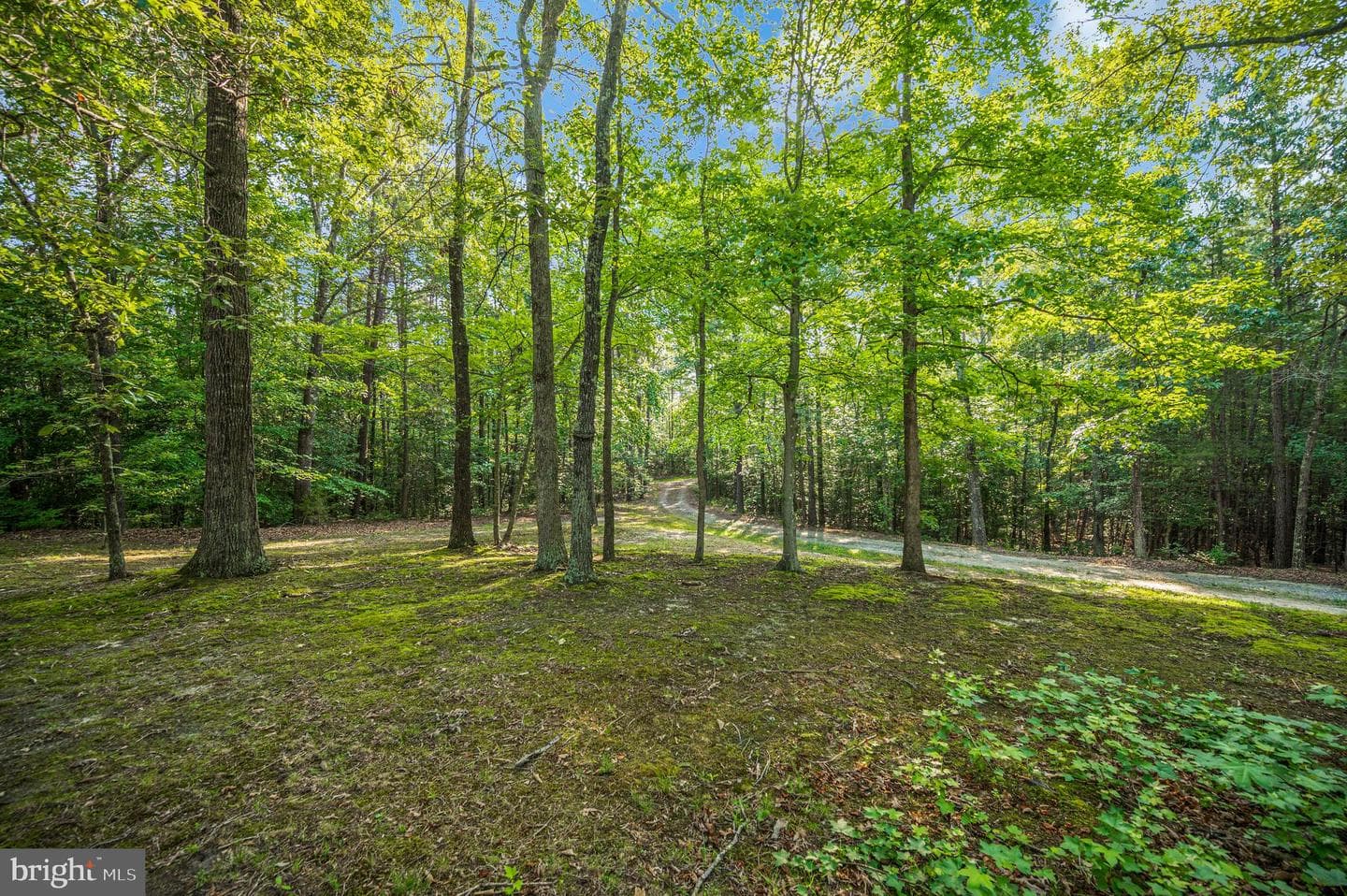 15295 Todd Ln photo 7