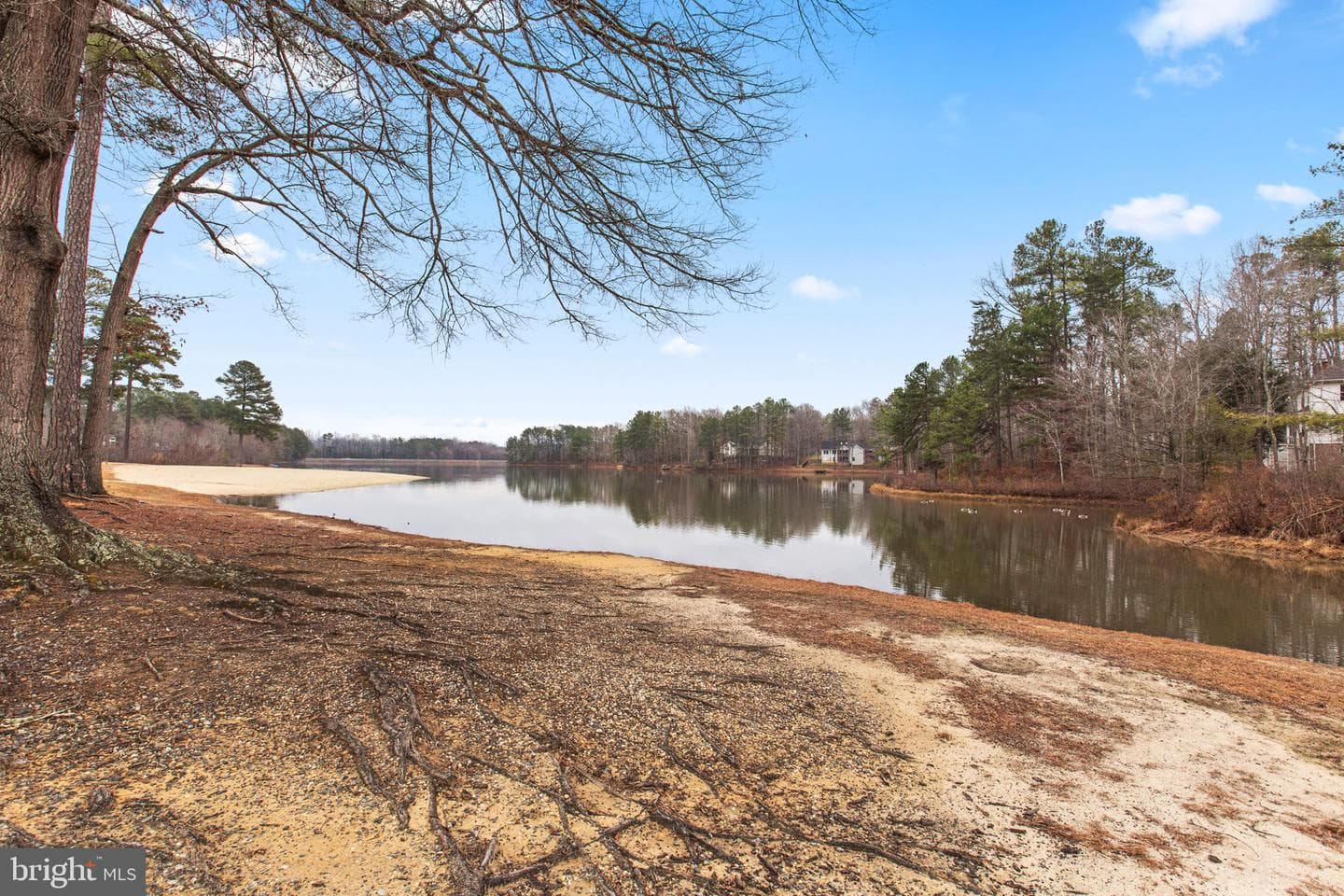 307 Falmouth Drive photo 32