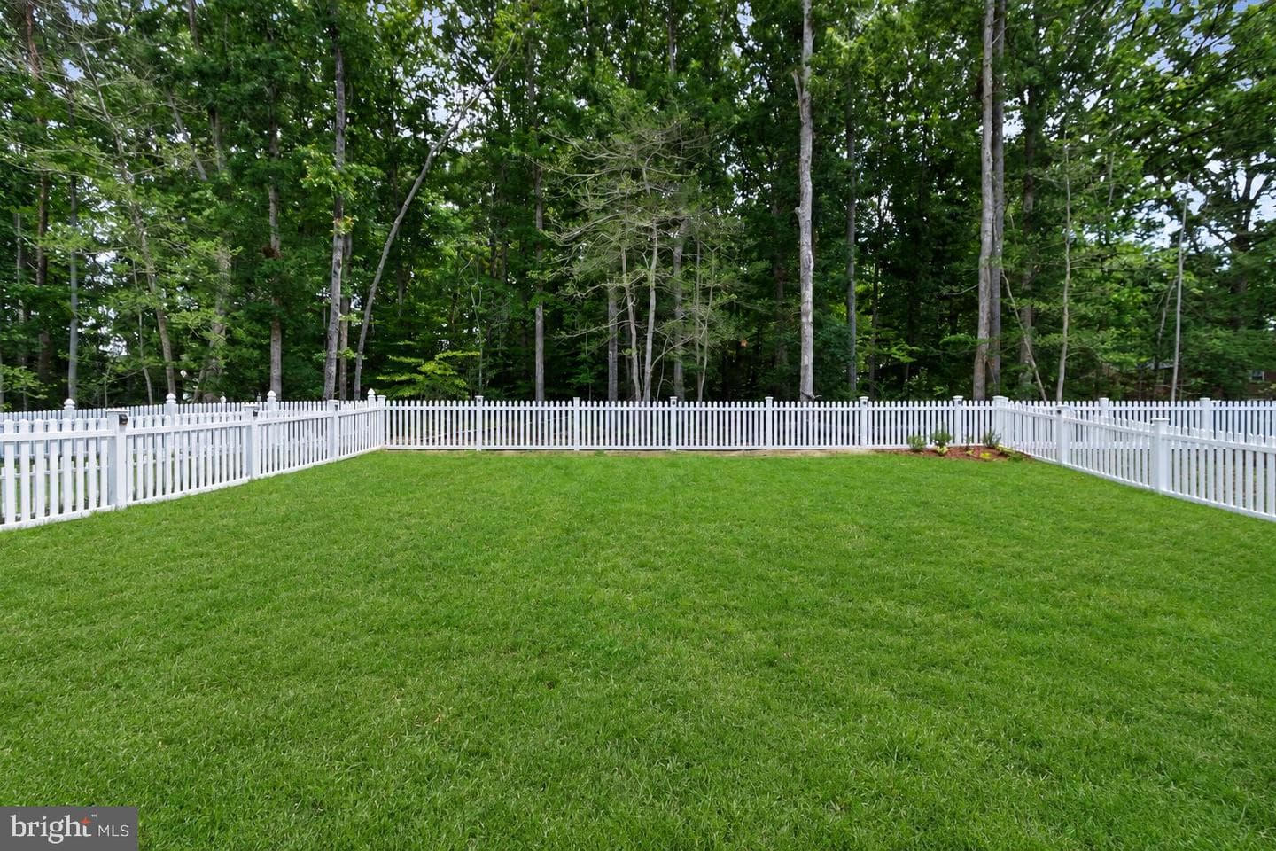 18163 Cornerstone Drive photo 17
