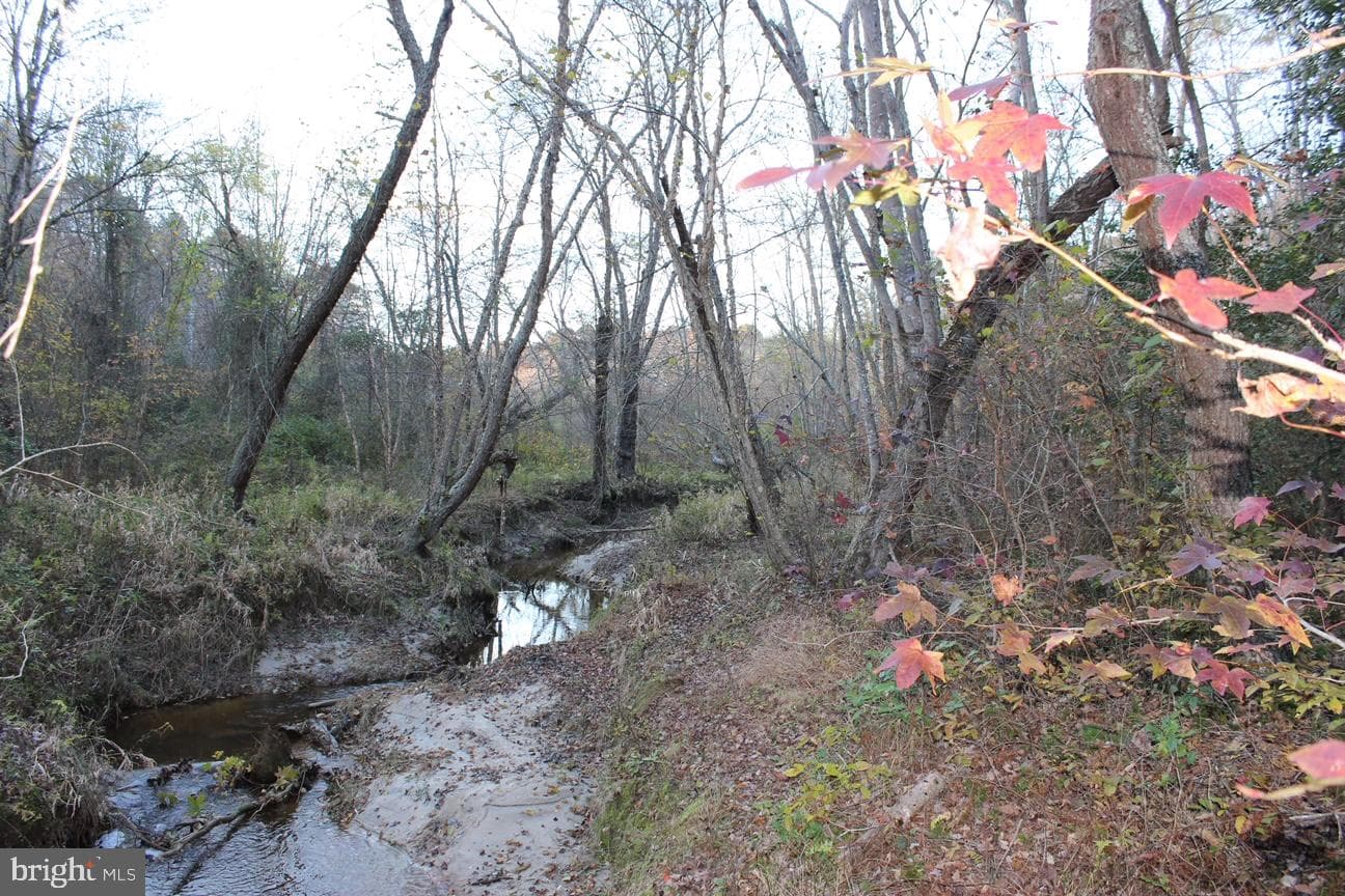 11770 Tidewater Trail photo 127