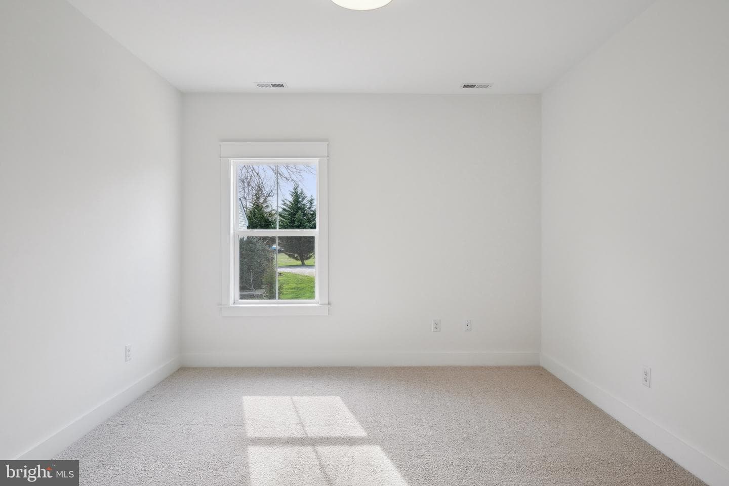 161 Logan Way photo 20