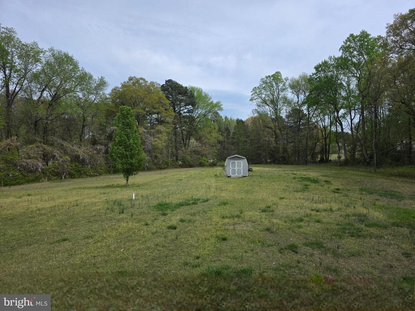 161 Berry Ridge Road photo 19