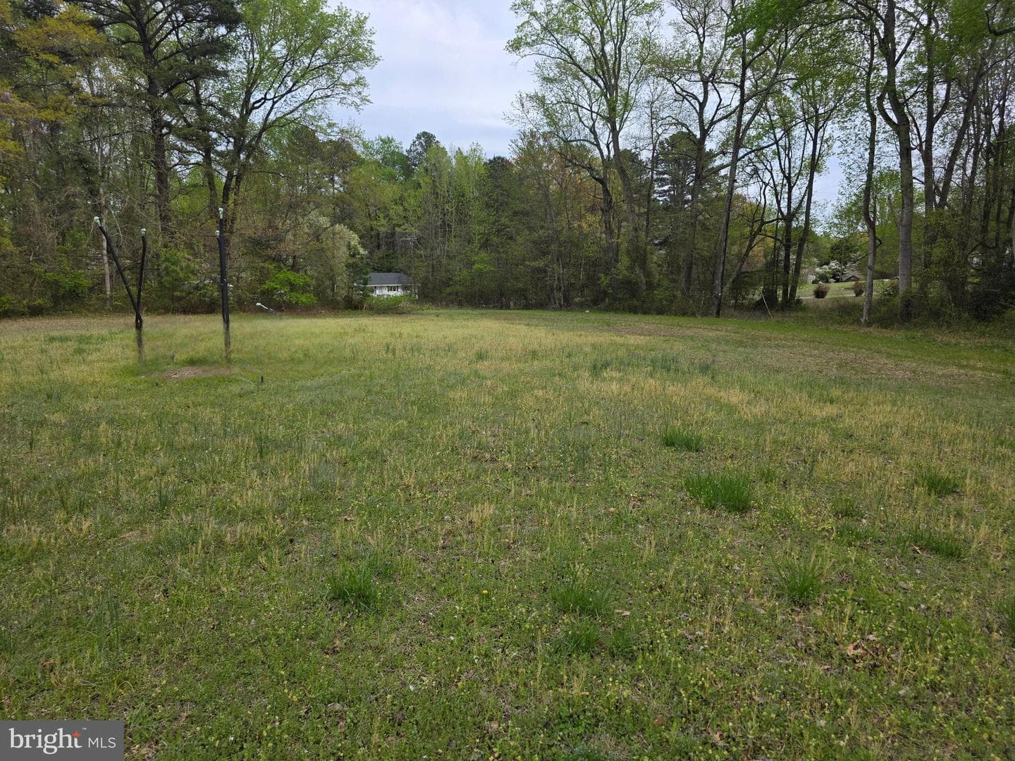 161 Berry Ridge Road photo 20